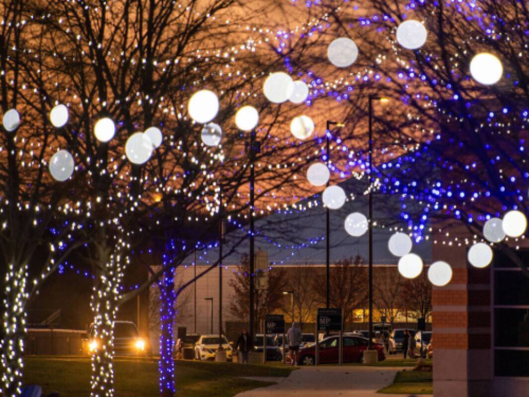 Strings of lights hang in tree branches in the late evening on the Valley Campus.